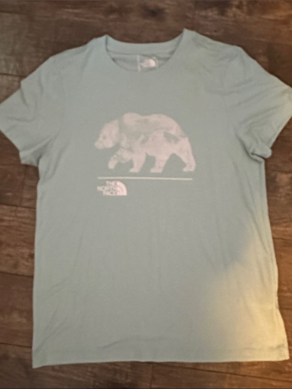 The North Face Light Green Bear Graphic Short Sleeve Tee